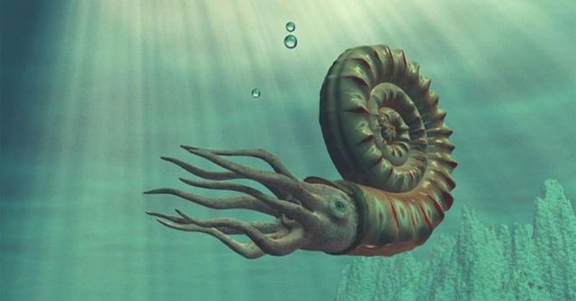 Giant sea creatures appeared in the Atlantic Ocean 80 million years ago