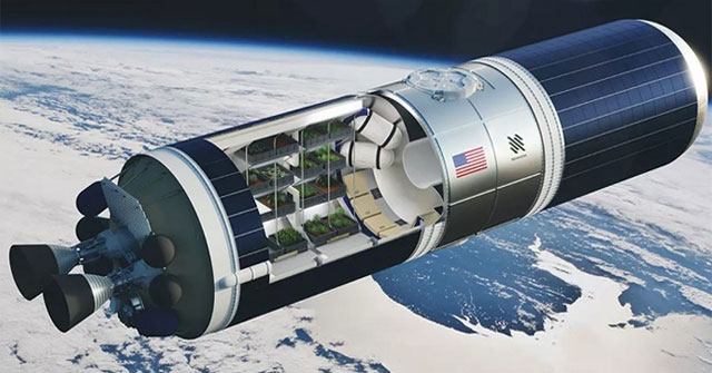 Greenhouses grow mutant seeds in space