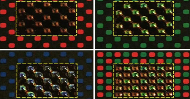 Growing artificial cells that change color like an octopus