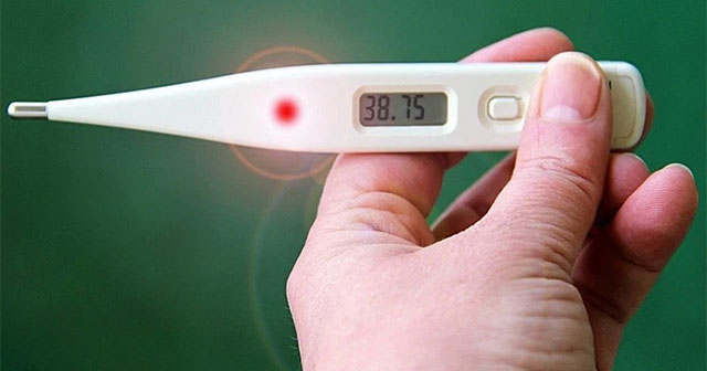 Harvard University is about to release a super-fast response elastic thermometer