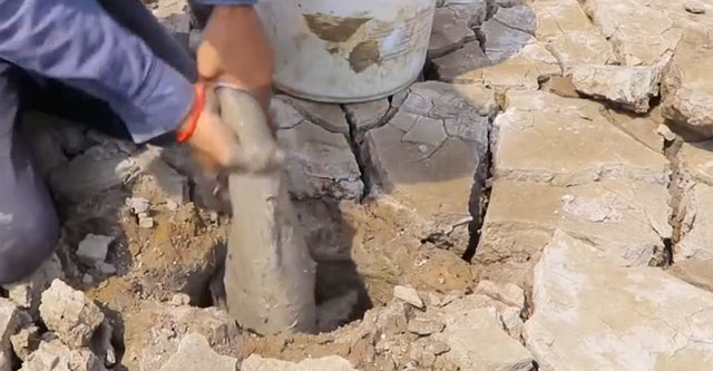 Holding a tree and tapping dry mud, the man reaped the surprise when he turned them over