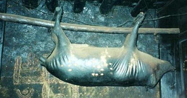 Horror: Whole pig specialty hung from ceiling for 30 years and stinks