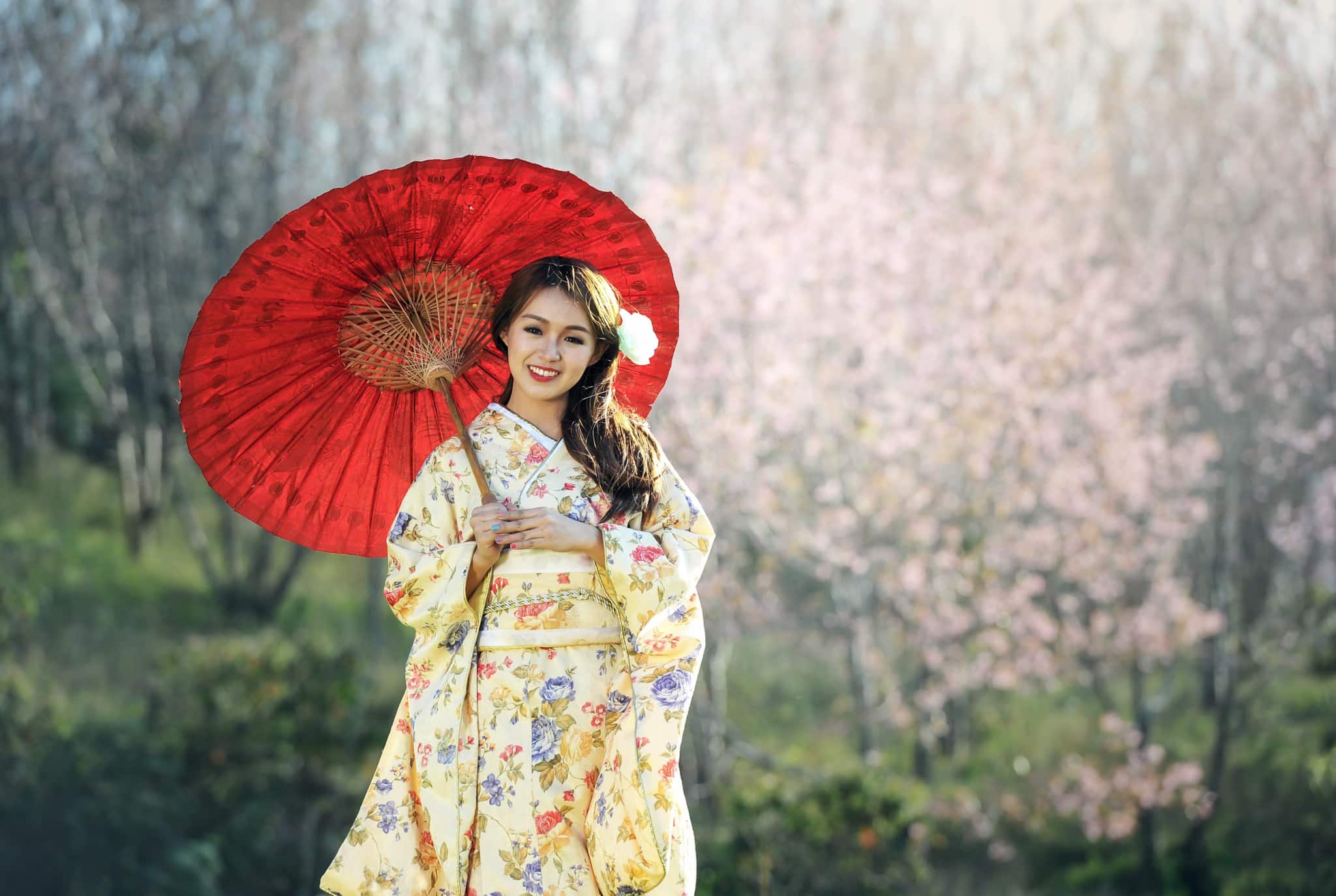 How are traditional Japanese umbrellas passed down for thousands of years?
