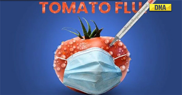 How dangerous is the emerging flu epidemic in India?