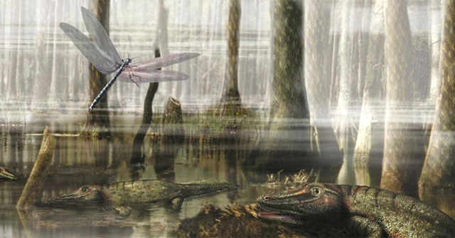 How did ancient forests turn to coal, fueling modern society?