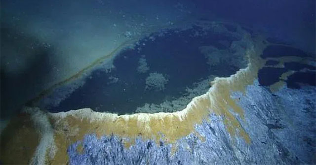 How did the Gulf of Mexico escape mass extinction?
