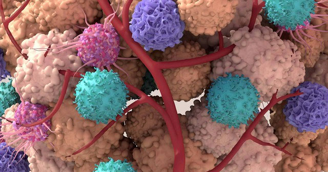 How do cancer cells exist and grow in our bodies?