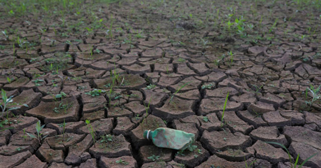 How does a 0.5 degree Celsius difference affect the global future?