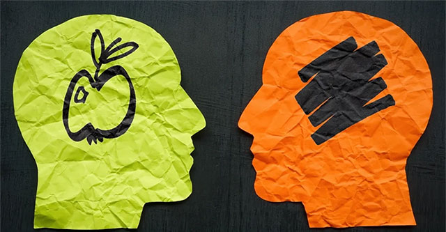 How does imagination work in the brain?
