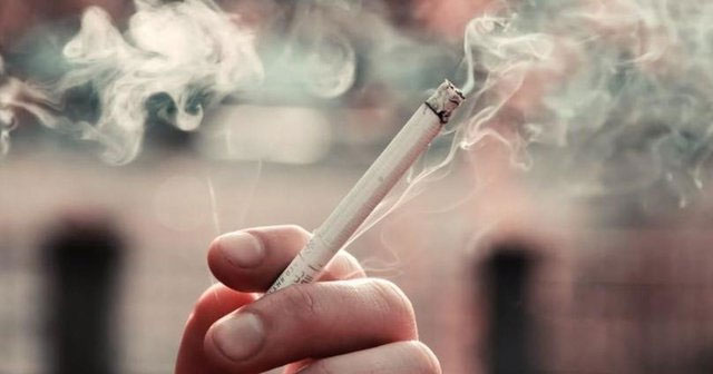 How does smoking change the structure of human bones?