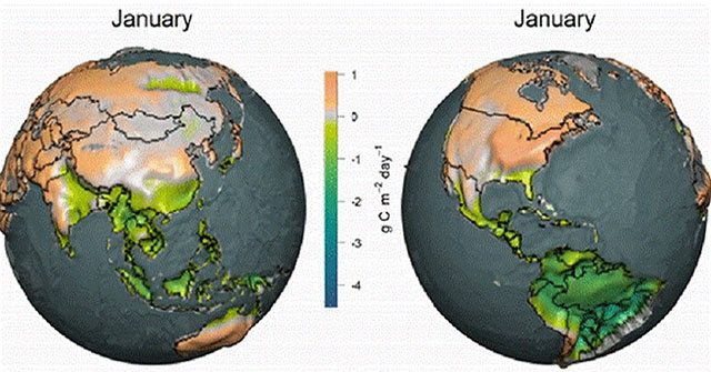 How does the earth breathe CO2?