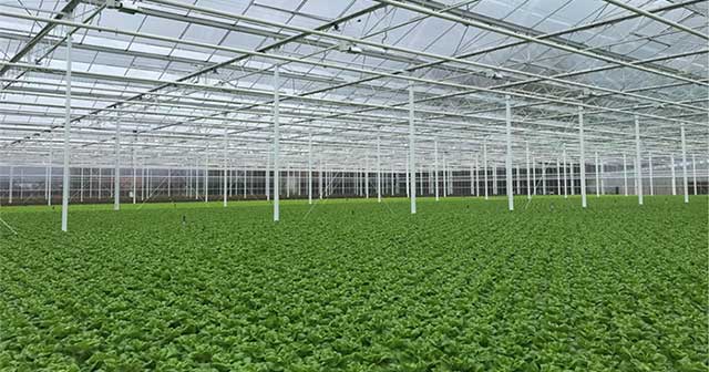 How the Netherlands responds to climate change