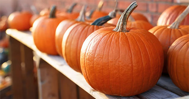 How to deal with Halloween pumpkins to avoid harming the environment?