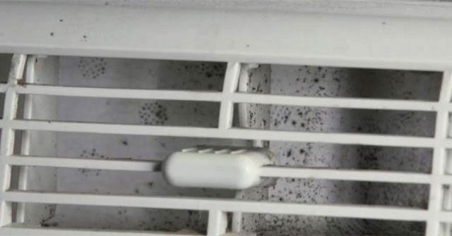 How to effectively detect and treat mold in air conditioners