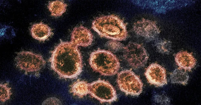 How to mutate Delta, Kappa strains to overcome Covid-19 vaccine