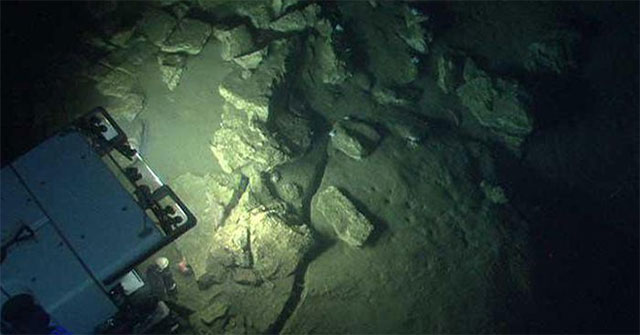 Huge 'treasure' in the ocean: It took more than 60 years that humans still have not recovered!
