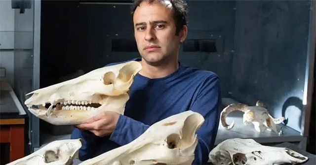 Humans are shrinking for a scary cause?