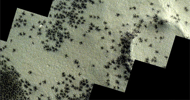 I got goosebumps because I discovered hundreds of 'black spiders' on Mars