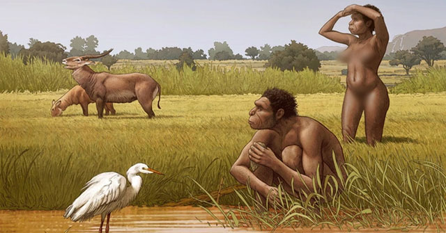 Identify a whole new human species that gave birth to us