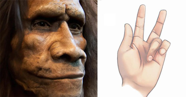 If your hand has this spot, you may have the blood of another species.