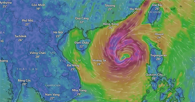 Impact of storm Tra Mi: From tomorrow night, which provinces will have very heavy rain?