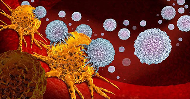Important discovery opens up hope for curing pancreatic cancer
