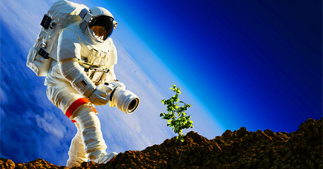 In 2026, astronauts will bring crops to the Moon