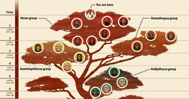 In history, there have been 9 species of humans and will we evolve into a new species?