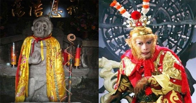 In the ancient tomb, there is a stick of Nhu Y, all 'dead': Ton Ngo Khong is here in the flesh?