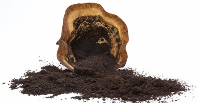 Indonesia develops coffee grounds into electric vehicle battery materials