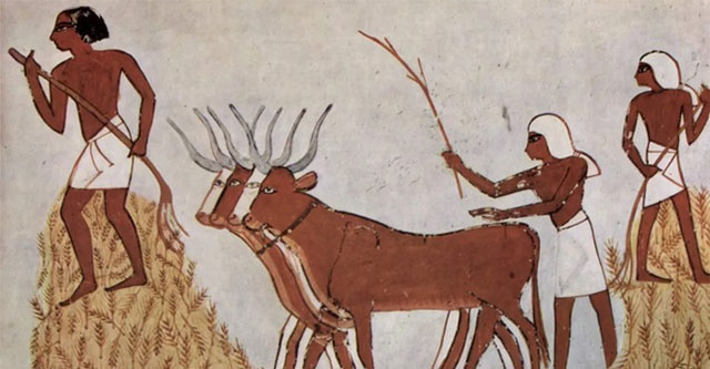 Interesting things about taxes in ancient Egypt
