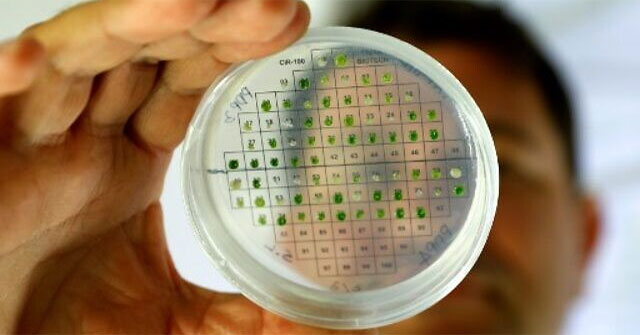 Inventing materials to help produce electricity in the human body