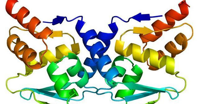 Invention of a strange molecule that causes cancer cells to destroy themselves