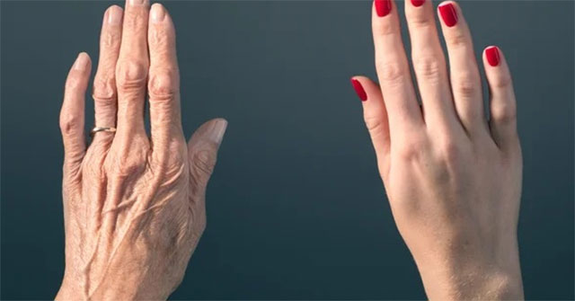 Is it possible to reverse the aging process, dissolving all human diseases in the future?