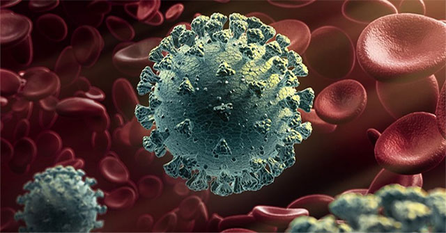 Is the new nCoV mutation discovered in Vietnam worth worrying about?