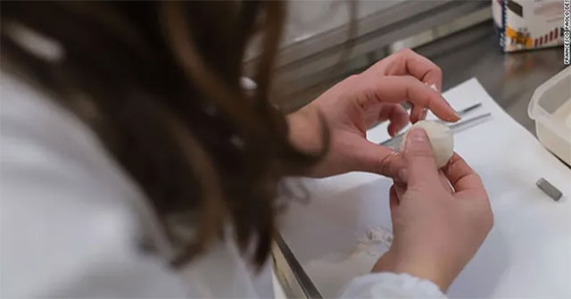 Italian scientists make pizza dough without yeast