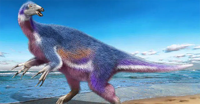 Japan announced the world's never-before-seen 5-color monster