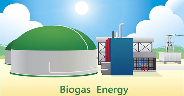 Japan builds power plant using fermented gas fuel from cow dung