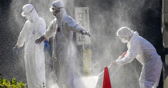 Japan discovered dangerous strain of bird flu