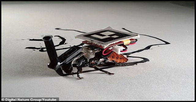 Japanese scientists implant machines into cockroaches, forcing them to serve humans