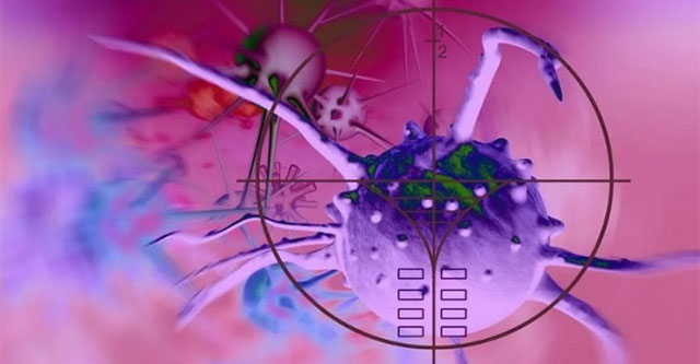 Japanese scientists use worms to kill cancer cells