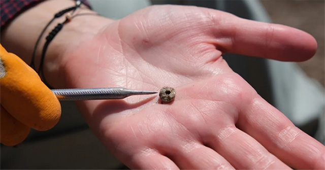 Jewelry discovered from the Stone Age in Türkiye