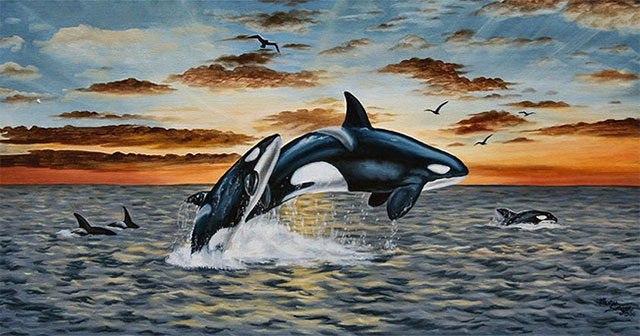 Killer whales: Revealing the close swarm relationship, the unexpected role of the female with the young