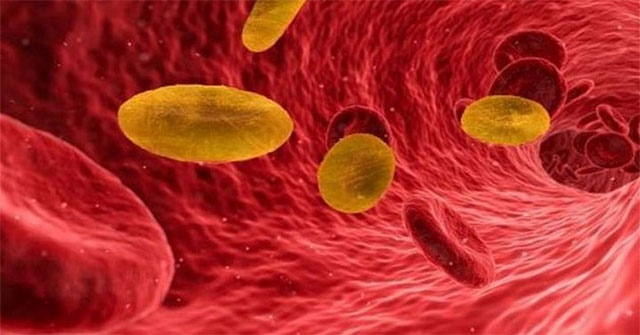 Learn about 'golden blood' - the world's strangest and rarest color group, only a few dozen people have