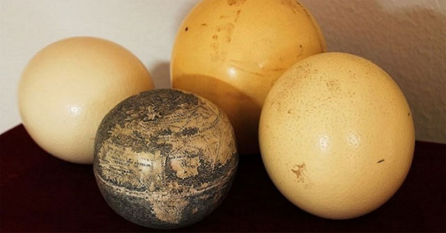Leonardo da Vinci's ostrich egg globe