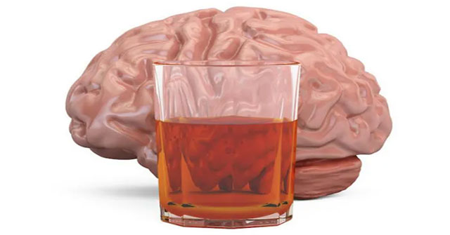 Light to moderate alcohol can also damage the brain