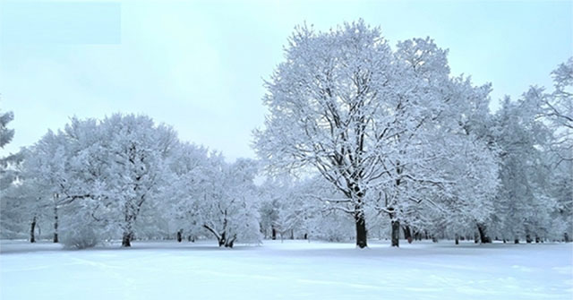 Magnificent view of Russian winter: Moscow in a snow cloak
