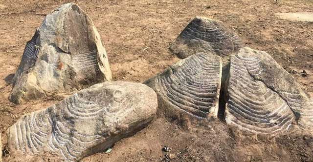 Many ancient stone blocks carved into terraced fields in Mu Cang Chai were discovered