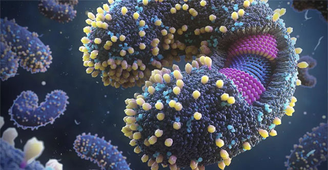 Many worrying new discoveries: Viruses are increasingly dangerous to humanity