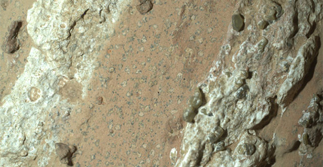 Mars rock discovered may contain fossilized bacteria